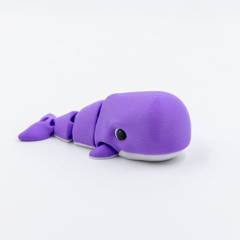 Flexi Whale